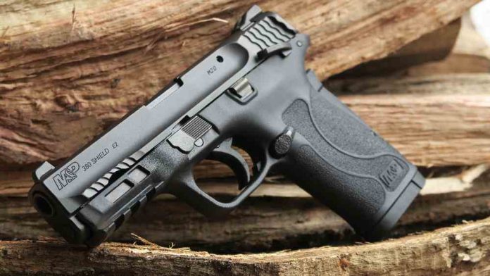 Пистолет M&P 380 SHIELD от Smith&Wesson