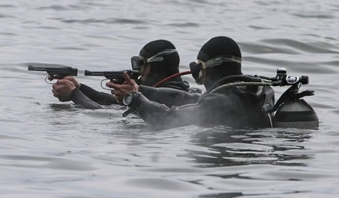 Пистолеты для подводной стрельбы